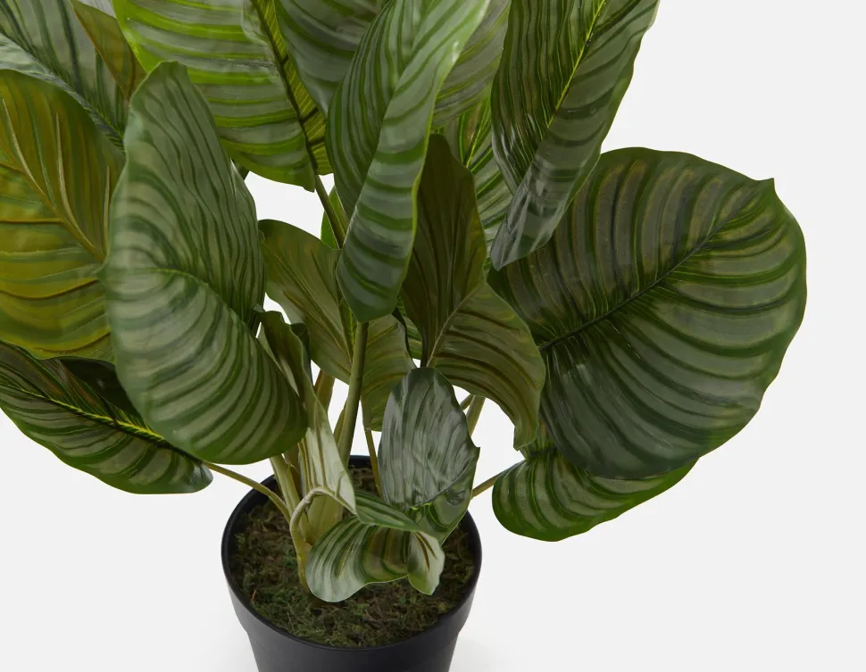ALLY artificial potted plant 55 cm