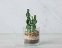 ALOEE artificial potted plant 67 cm