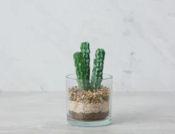 ARBORE artificial potted plant 19 cm