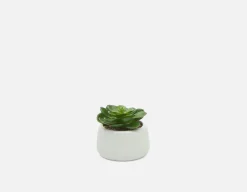 CAORY artificial potted plant 11 cm
