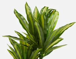 DAXI artificial potted plant 150 cm
