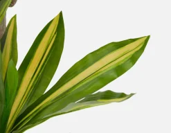 DAXI artificial potted plant 150 cm