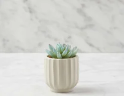 DRACAENA artificial potted plant 50 cm