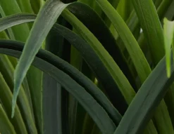 DRACAENA artificial potted plant 50 cm