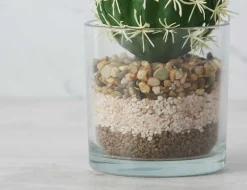 ECHINO artificial potted plant 15 cm