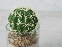 ECHINO artificial potted plant 15 cm