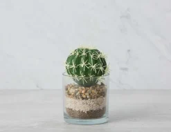 ECHINO artificial potted plant 15 cm