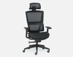 ERGO ergonomic office chair
