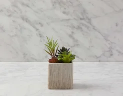 FARNAZ artificial potted plant 19 cm
