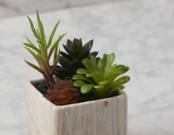 FARNAZ artificial potted plant 19 cm