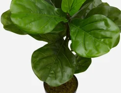 FIDDLE LEAF II artificial potted plant 70 cm