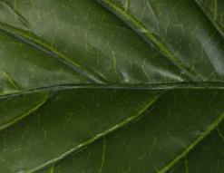 FIDDLE TREE artificial potted plant 190 cm
