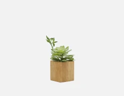 FORET artificial potted plant 7 cm