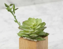 FORET artificial potted plant 7 cm