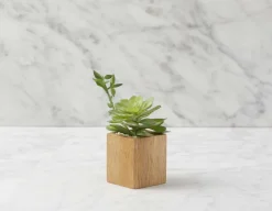 FORET artificial potted plant 7 cm