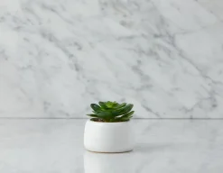 GALE artificial potted plant 12 cm