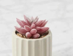 GALE artificial potted plant 12 cm
