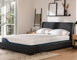 ICY 10 queen size mattress