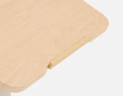 LILY adjustable portable desk