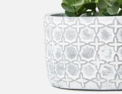 LIVI I artificial potted plant 17 cm