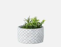 LIVI I artificial potted plant 17 cm