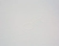LOFT 10 twinxl size mattress