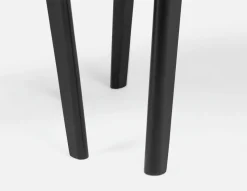 MONIKA mid-century modern 5-piece dining set