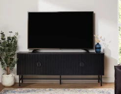 MONTANA media unit