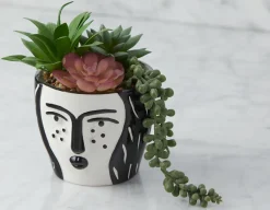 OMORFOS artificial potted plant 16 cm