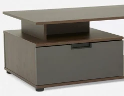 OZZY contemporary coffee table