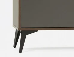 OZZY contemporary media unit