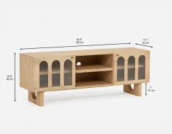 PRIYA media unit