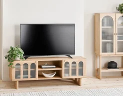PRIYA media unit