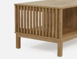 RIONA japandi style coffee table