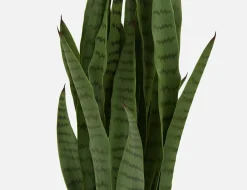 SNAKE PLANT artificial potted plant 94 cm