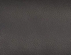 TAURO leatherette chair, brushed frame