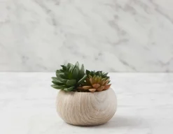 TAWNEY artificial potted plant 25 cm