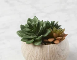 TISHA artificial potted plant 13 cm