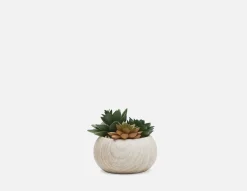 TISHA artificial potted plant 13 cm