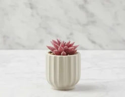 TISHA artificial potted plant 13 cm
