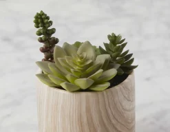 TOBY artificial potted plant 18 cm
