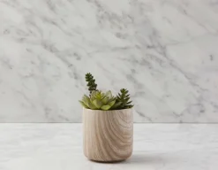 TOBY artificial potted plant 18 cm