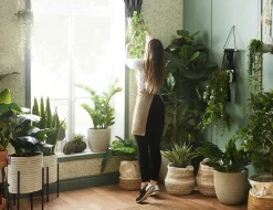 VANCE plant hanger 85 cm