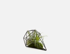 VIANNA artificial plant arrangement 13cm